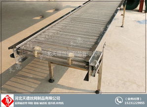 碳鋼網(wǎng)帶輸送機(jī)公司 食品轉(zhuǎn)彎機(jī) 增城網(wǎng)帶輸送機(jī)