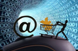 巨頭競相布局 互聯(lián)網(wǎng)保險(xiǎn)發(fā)展提速